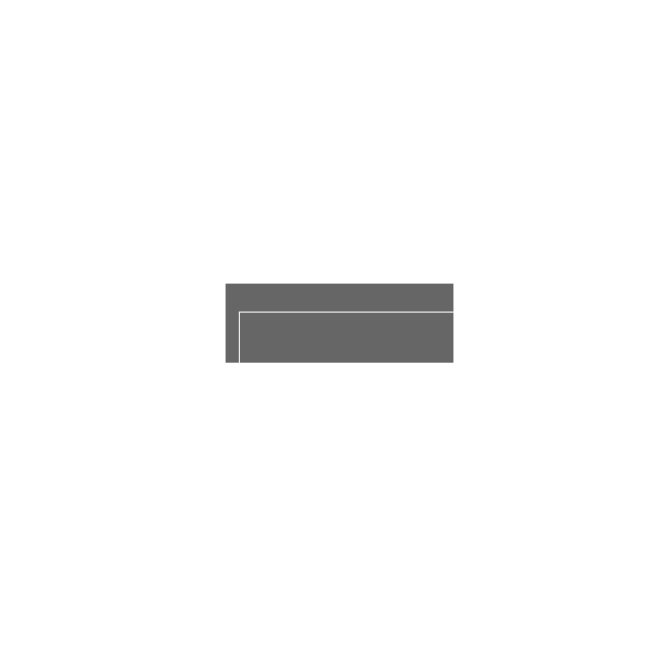 light logo